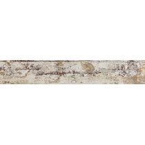 Venus Caribbean Beige
