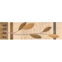 Venus Latina T-latina