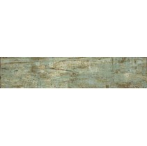 Venus Petrified Forest Gold Blue