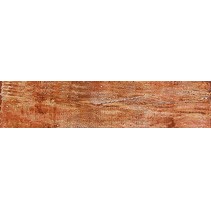 Venus Petrified Forest Golden Cherry