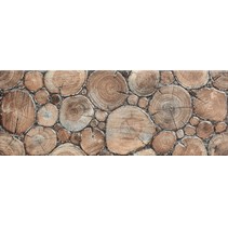 Venus Sea wood Decore