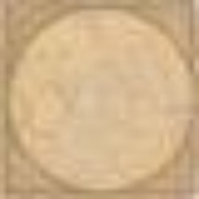Декор Versace Venere Nat Noce Tozzetto Medusa 10