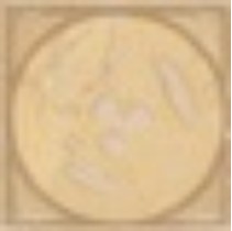 Versace Venere Nat Tozzetto medusa oro 17271