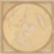 Декор Versace Venere Nat Tozzetto medusa oro 17271