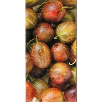 Victoria Ceramica Fruit Berry (крыжовник)
