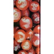 Декор Victoria Ceramica Fruit Berry 2 (вишня)