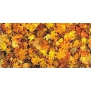 Декор Victoria Ceramica Nature Leafs glass