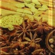 Декор Victoria Ceramica Spice Anise