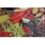 Панно Victoria Ceramica Spice Spice