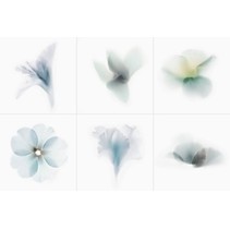 Viva Ceramica Fleurs TD6/050 Fleurs 02