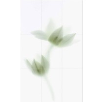 Viva Ceramica Floranova TD9/001 Novagrey Comp. A/9