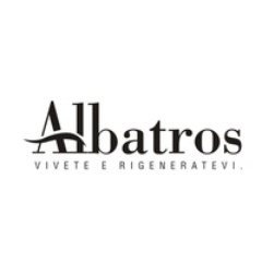 Albatros Albatros
