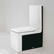 Чаша для унитаза-компакта ArtCeram LaFontana 36x65 см без бачка и сиденья белый/черный