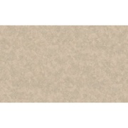 Флизелиновые обои AS Creation Jungle 96095-4