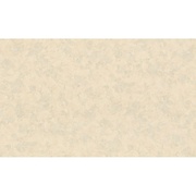 Флизелиновые обои AS Creation Jungle 96095-1