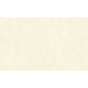 Флизелиновые обои AS Creation Pianissimo 30740-6