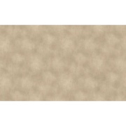 Флизелиновые обои AS Creation Residenza 95474-4