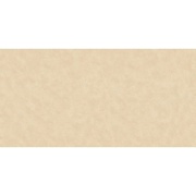 Флизелиновые обои AS Creation Speranza 95644-1