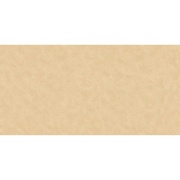 Флизелиновые обои AS Creation Speranza 95644-5
