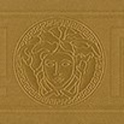 Флизелиновые обои AS Creation Versace home 93526-2