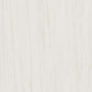 Напольная плитка Atlas Concorde Marvel Stone Porcelain AZQS Bianco Dolomite