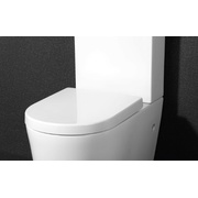 Крышка-сиденье BelBagno Marino BB105SC