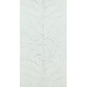 Обои Bellocasa Van Gogh Белые, Дерево 53х1005 см.