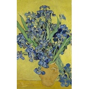 Виниловые обои Bellocasa Van Gogh Пано цветное ,цветы 53х1005 см.