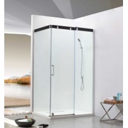 Душевой уголок Elegansa Platz TR 113 90x90x200 см без поддона