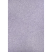 Флизелиновые обои Erismann Isabella 5205-21 5205-21