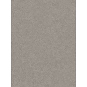Флизелиновые обои Erismann Keneo 1764-24 1764-24