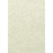 Флизелиновые обои Erismann Rondo 4066-17