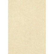 Флизелиновые обои Erismann Sorento er 4232-3 4232-3