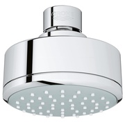 Верхний душ Grohe New Tempesta Cosmopolitan 100 1 вид струи