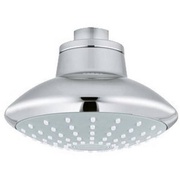 Верхний душ Grohe Euphoria mono 27810001 100