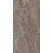 Настенная плитка Kerama Marazzi Парнас Пепельный лаппатированный SG809502R
