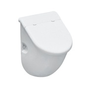 Писсуар Laufen Casa 8.4014.1.000.000.1 30.5x28.5 см с сифоном со скрытым подводом воды