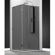 Душевая шторка Profiltek Newglass Ng-201 реверсивная стекло затемненное