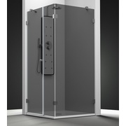 Душевая шторка Profiltek Newglass Ng-209 левая стекло затемненное