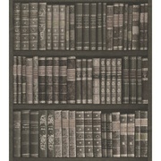 Флизелиновые обои Rasch Crispy paper обои 525823