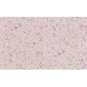Обои Rasch Textil Maximum XI 926316