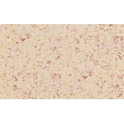 Обои Rasch Textil Maximum XI 926323