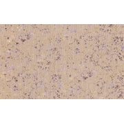 Обои Rasch Textil Maximum XI 926330