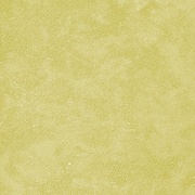 Обои Selecta Portofino Wild 0.7х10.05 PW300044