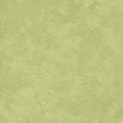 Обои Selecta Portofino Wild 0.7х10.05 PW500031