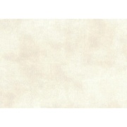 Флизелиновые обои Sirpi Muralto fashion обои 30734
