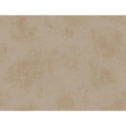 Бумажные обои York 120-th anniversary AV2912