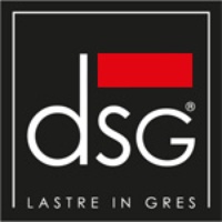 DSG DSG