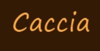 Caccia Caccia