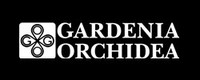 Gardenia Orchidea Gardenia Orchidea